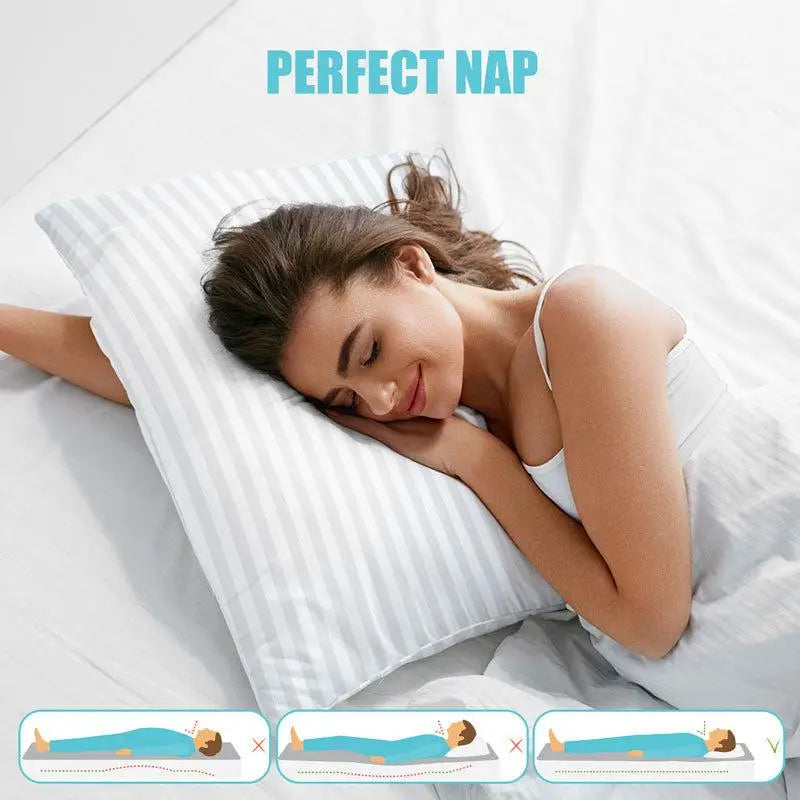 Down Alternative Stripe Pillows Set of 2