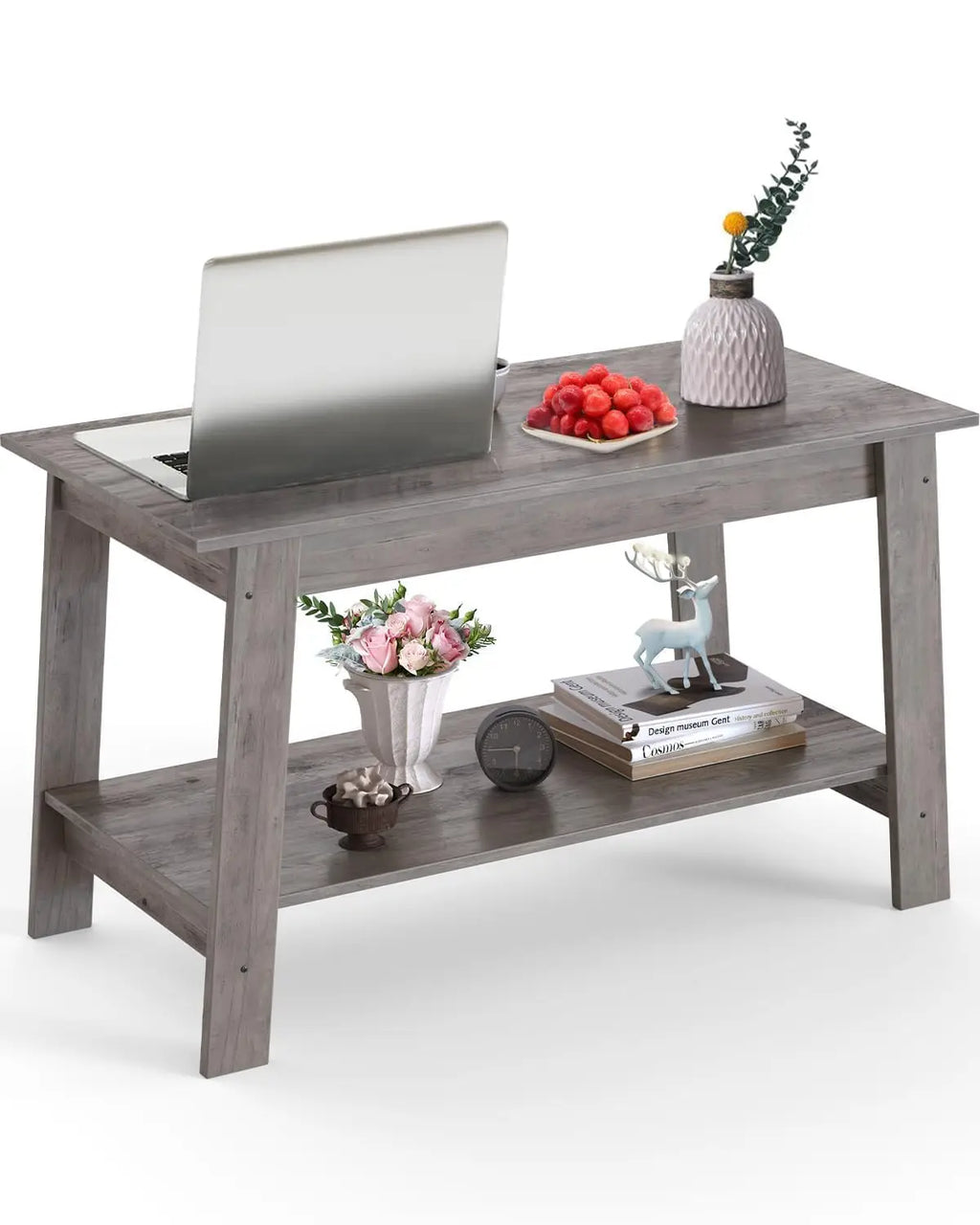 Modern 2-Tier Coffee Table