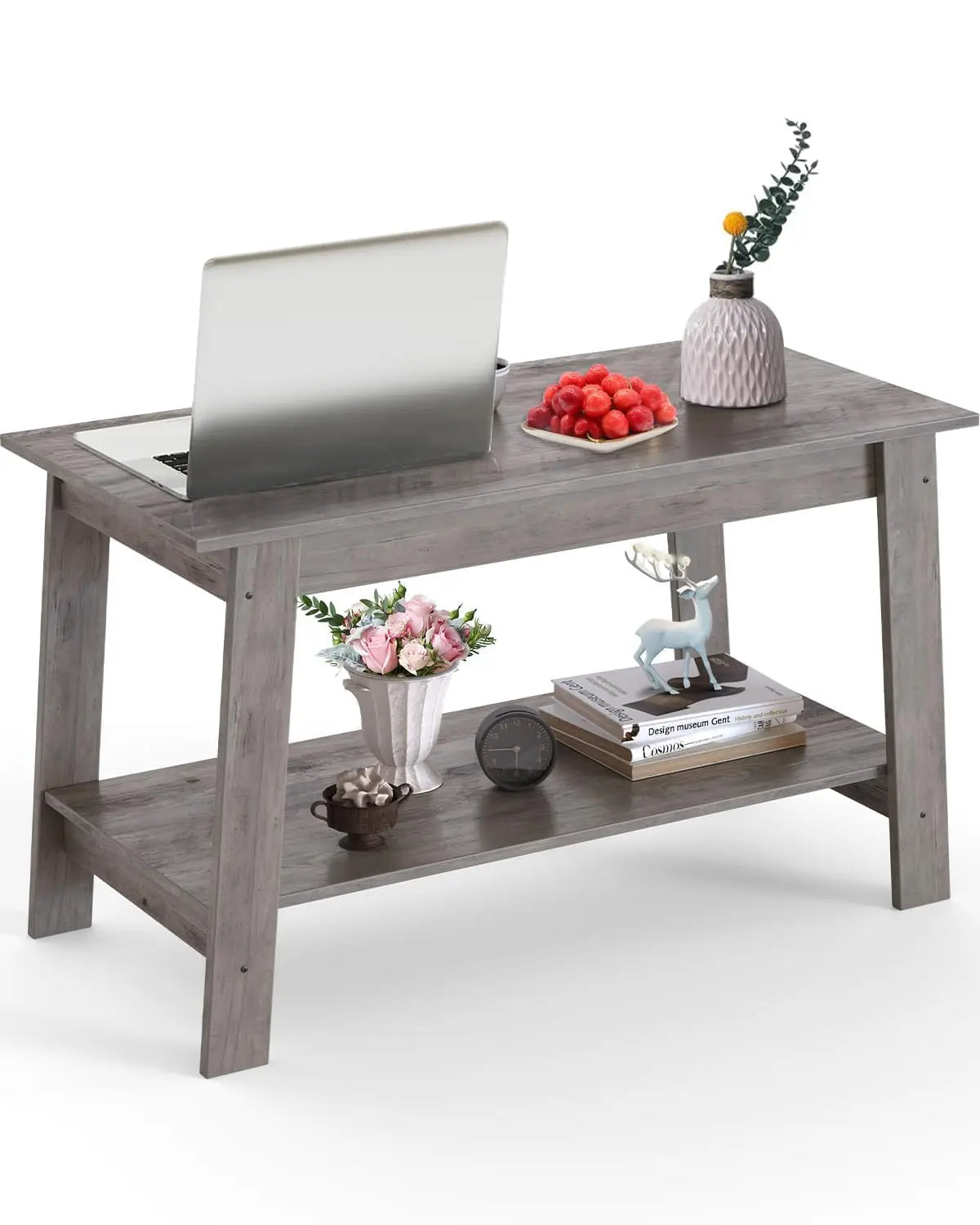 Modern 2-Tier Coffee Table